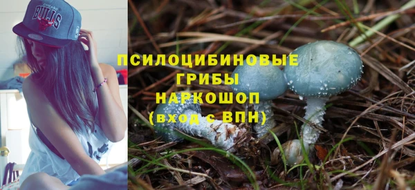 молекула духа Инта