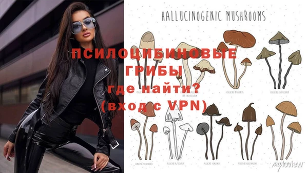молекула духа Инта