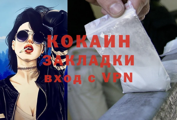 крисы Инсар