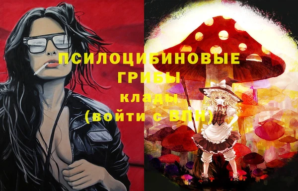 молекула духа Инта