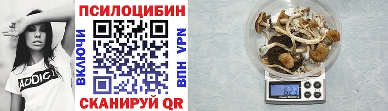 Псилоцибиновые грибы Psilocybe  Кингисепп 