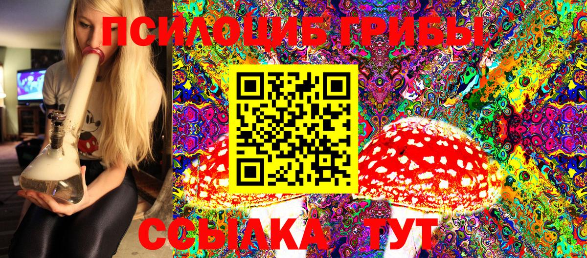 Псилоцибиновые грибы Magic Shrooms  Вход с VPN  Кингисепп 